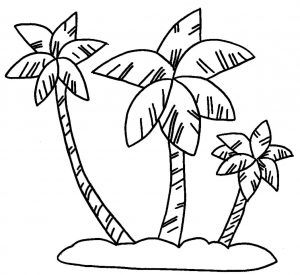 Belen palmeras